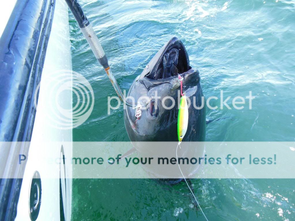 CM Heavy metals for OBX Sale 360 Tuna Fishers Forum